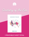 Anatomy of the Ear Download